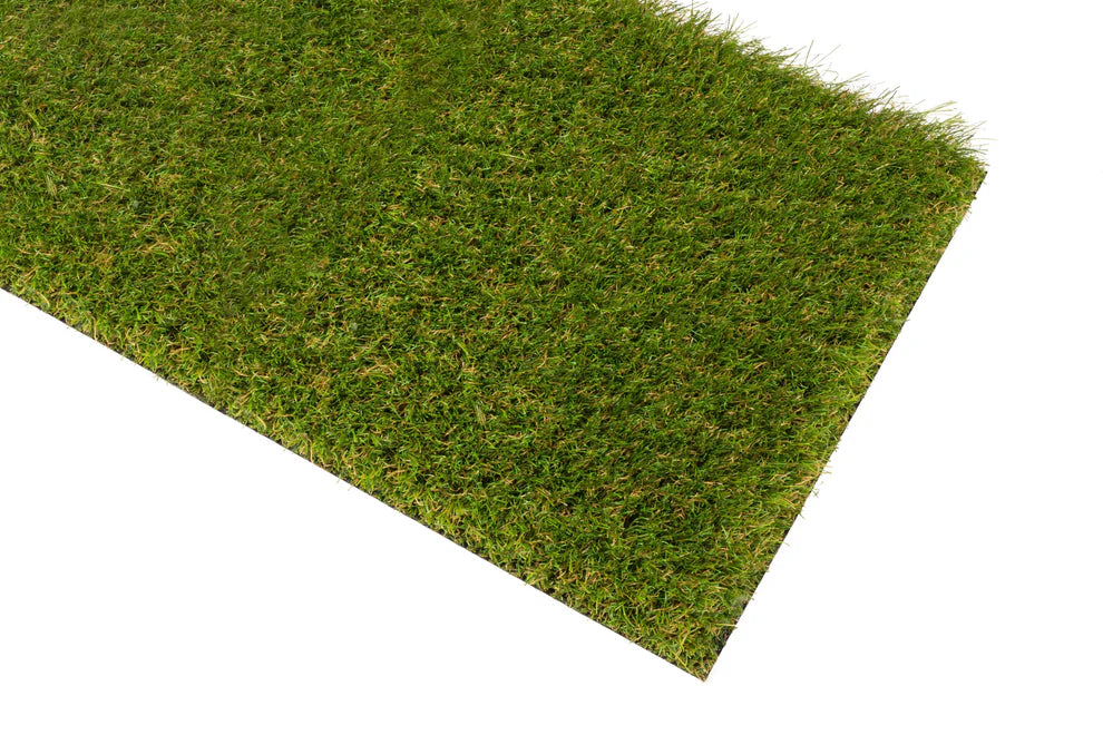 Summer Green