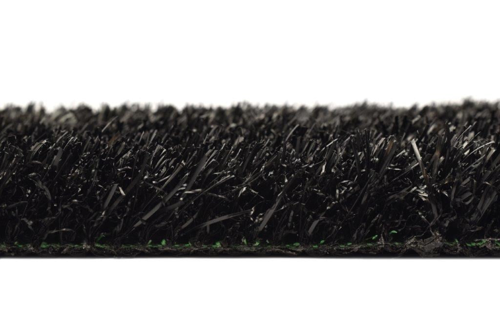 Summer Black