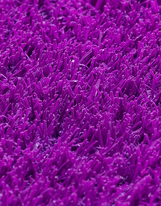 COLOR KID´S PURPLE