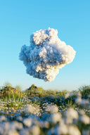 🌿 Por qué el pasto artificial es el futuro del verde | elReydelPasto