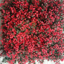 Paneles de Pasto Artificial con Diseño Moderno