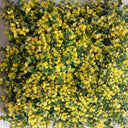 Paneles de Pasto Artificial