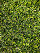 De arriba Basic Plus 