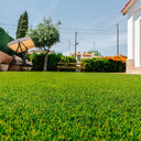 Balandra Instalado Inspiracipon para el Rey del Pasto 