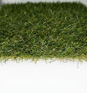 Balandra RDP Propias