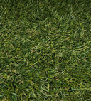 Balandra Details Propia