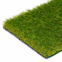 Costa de Basic Plus RDP