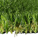 Basic Plus Detalles para el Rey del Pasto