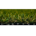 Le basic Plus por el Rey del Pasto