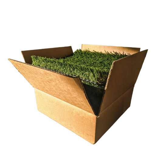Caja de Muestras Rey
