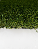 Bravo Frente detalle real