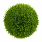 Suave, Seguro, Realista