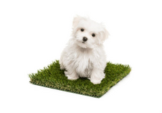 Aprobado por Mascotas