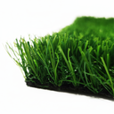 Inspire Color Kid Green