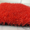 Color Kids Red Frente para el rey del pasto