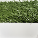 Calcio 🏋️‍♂️