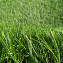 Gladiator el Rey del Pasto