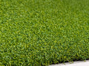 GOLF PRO GREEN