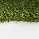 Ibiza Propias de el Rey del Pasto