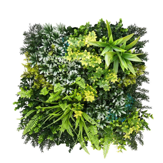 Mediterraneo