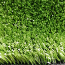 Multisport Green Inspiradas para RDP