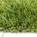 Miramar Pasto para la Vida RDP