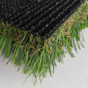 Miramar Back Inspire