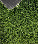 Originales MultisportGreen RDP