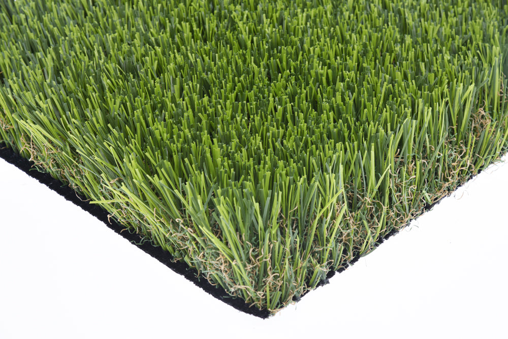 ☀️🌊🌾 Paradise 35