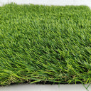 Detalles de el Rey del Pasto Paradise 35