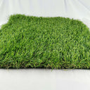 Paradise 35 Foto de Studio para el Rey del Pasto