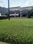 Residencial Bravo Pasto para el Rey del Pasto Inspiracion