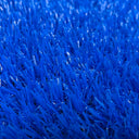 Summer Blue Brillante Detalle el Rey del Pasto