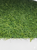 Summer Green Pasto Especial del Rey dle Pasto