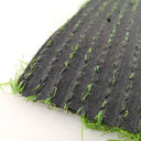 Trevi lado bajo para el Rey del Pasto